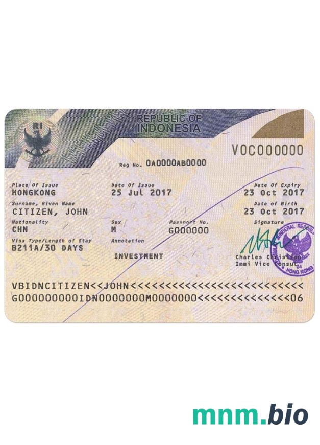 Indonesia visa version 2